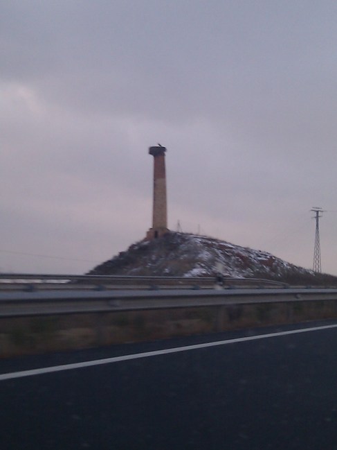 Old Smoke Stack with Storks