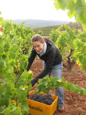 April Yap-Hennig harvesting Garnacha grapes at Bodegas Juan Carlos Sancha