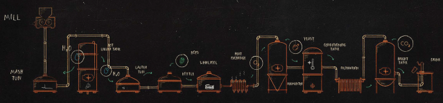 From start to finish, the beer making process