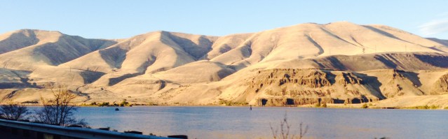 017ed2c09c03dd7241cfff81fa27305b642a2220ca